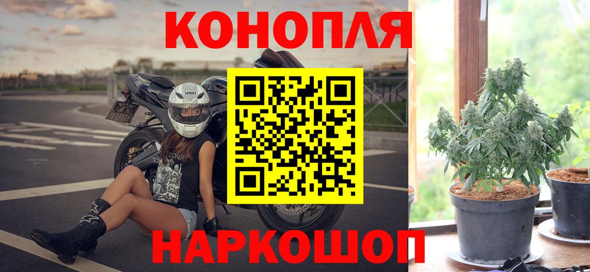 Канабис SATIVA & INDICA Аша